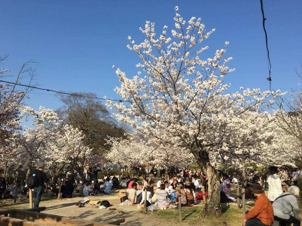 Appartamento 美築八坂 Kyōto Esterno foto