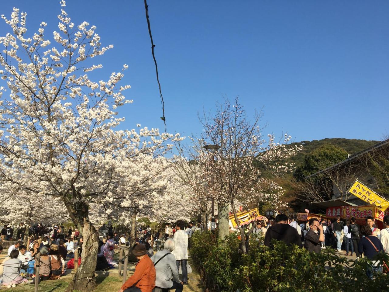 Appartamento 美築八坂 Kyōto Esterno foto